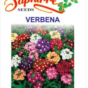 Premium Verbena Quartz Mixed Color