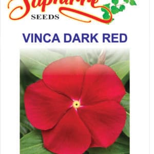 Premium Vinca Dark Red