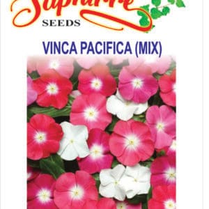 Premium Vinca F1 Nana Mixed Color