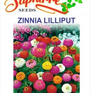 Premium Zinnia Liliput Mixed Color