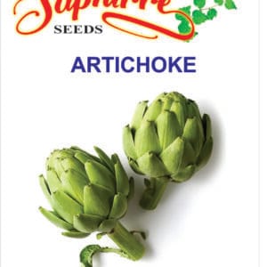 Premium Artichoke Green Globe