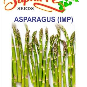 Premium Asparagus