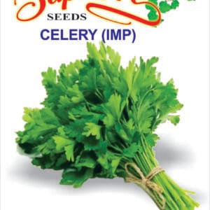 Premium Celery Tall Utah