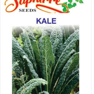 Premium Kale Tuscan