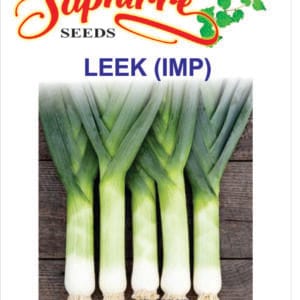 Premium Leek Bunching