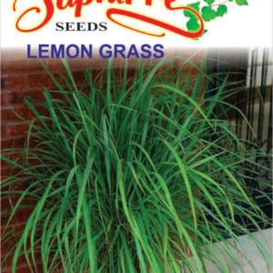 Premium Lemon Grass seeds