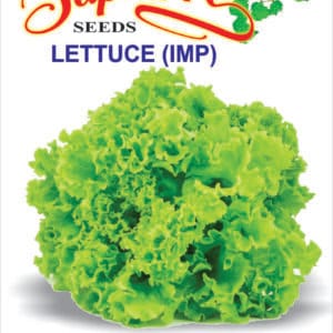 Premium Lettuce Grand Rapids