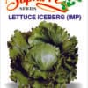 h-lettuce-iceberg