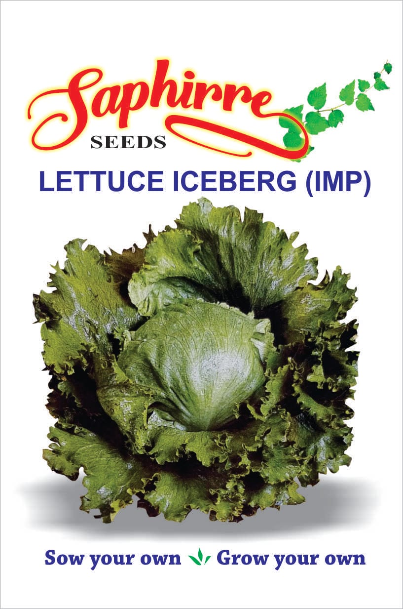 h-lettuce-iceberg