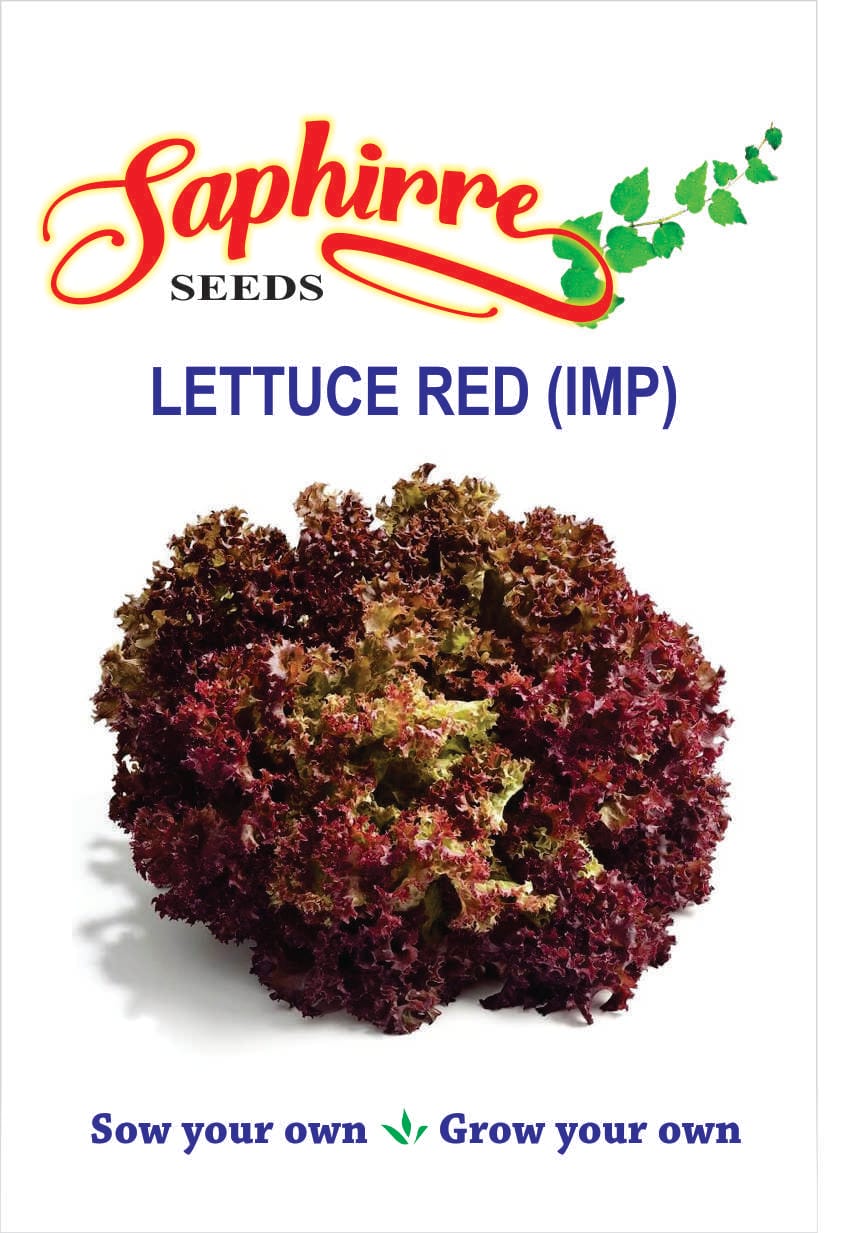 h-lettuce-red