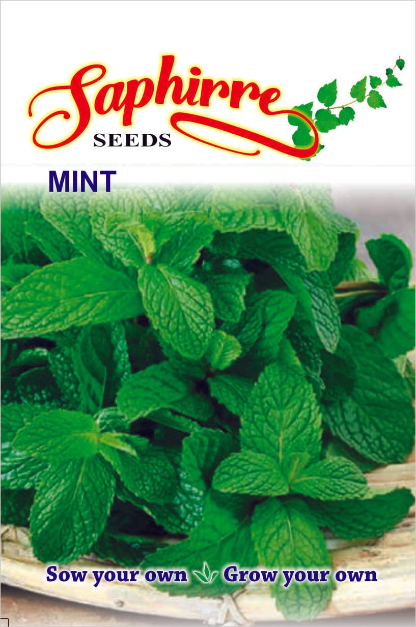 h-mint