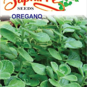 Premium Oregano (Origanum vulgare)