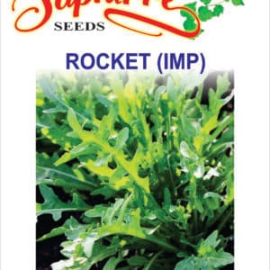 Premium Rucola/Rocket (Eruca sativa)
