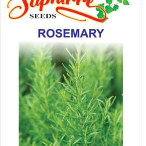 Premium Rosemary (Salvia rosmarinus)