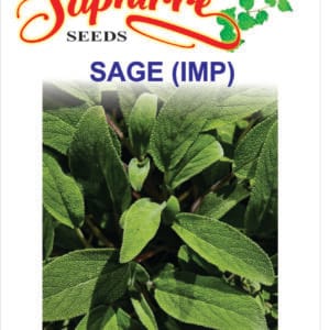 Premium Sage (Salvia officinalis)