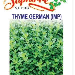 Premium Thyme (Thymus vulgaris)