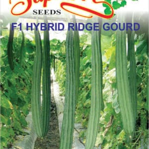 Premium Ridge Gourd F1 Hybrid Seeds