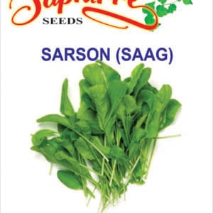 Premium Mustard Sarso Saag Seeds