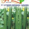 sponge-gourd