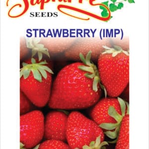 Premium Strawberry Fruit Seeds