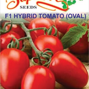 Premium Tomato F1 Hybrid Oval Seeds