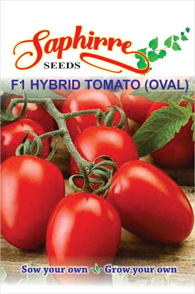 tomato-long