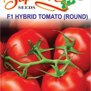 Premium Tomato F1 Hybrid Seeds