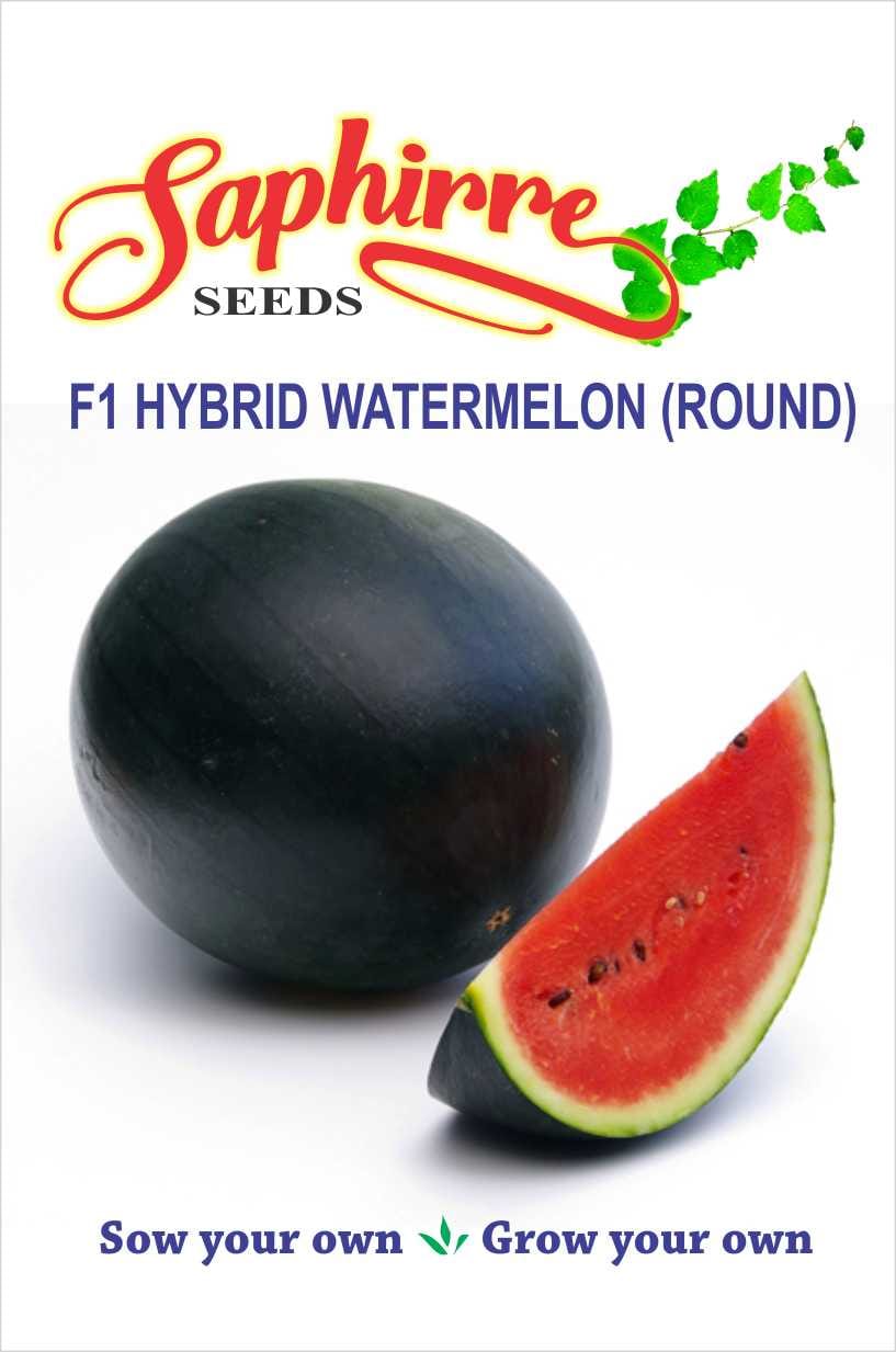 water-melon-round