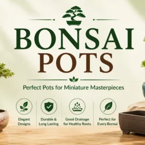 Bonsai Pots