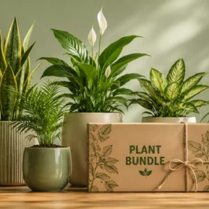Bundles