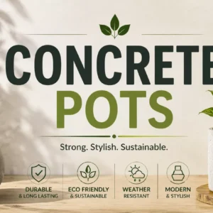 Concrete Pots