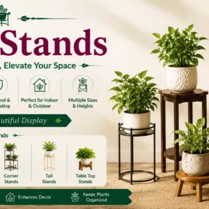 Plant Stands