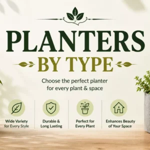 Planters by Type