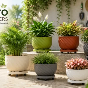 Roto Planters