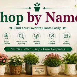 Shop by Name