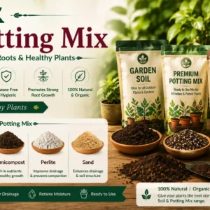 Soil & Potting Mix