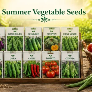 Summer Vegetable Seeds