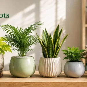 Table Top Pots