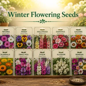 Winter Flowering Seeds