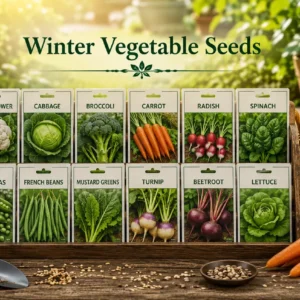 Winter Vegetable Seeds